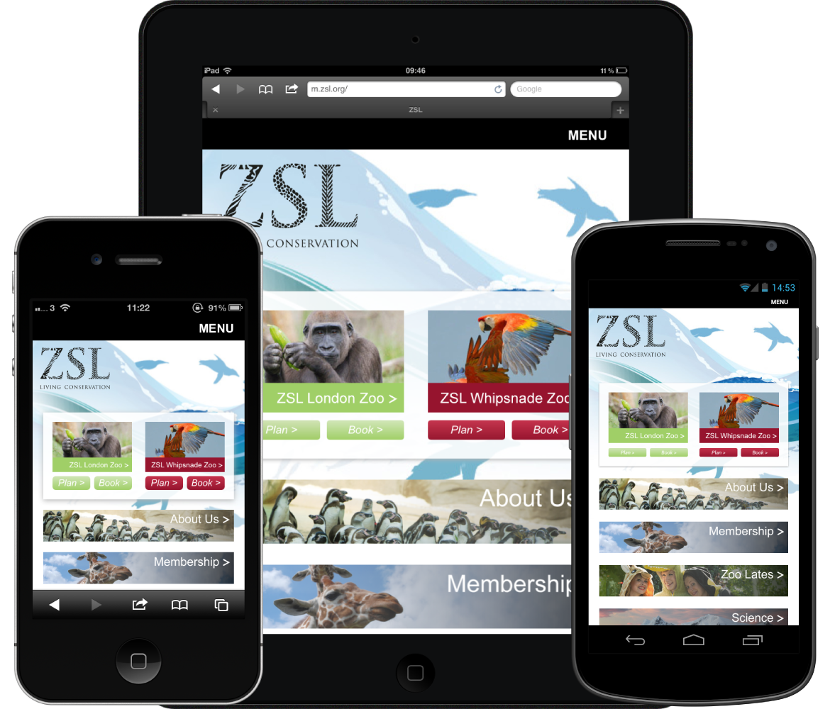Zsl.png